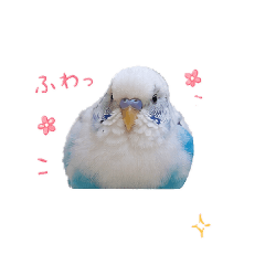 yoko_20