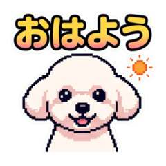 Aoi_20260617135443