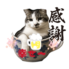 Sakura Go