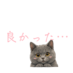 yumi_20260617142315