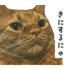 yusuke_20260617163914