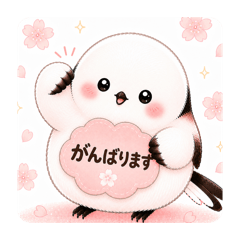 ckk_20260617170101