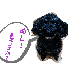 DefiKEN_20260617170756