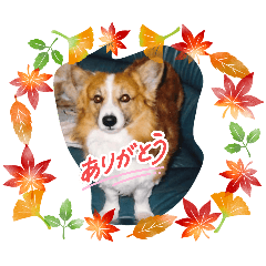 hide_20260617170410
