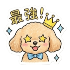 KEN naoko_20260617171008