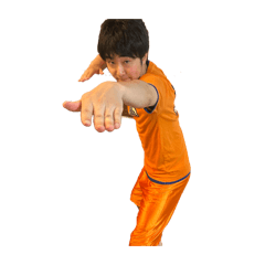 kgpjgtptpw_20260617172949