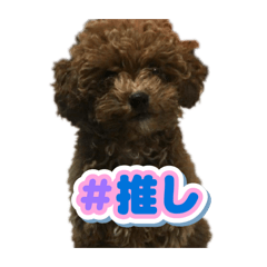 sakusanteam_20260617172717