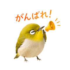 noppo_20260617172633