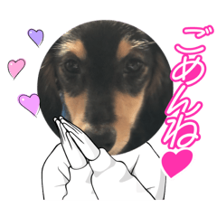 Cocohika_20260617173657