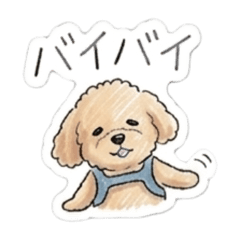 KEN naoko_20260617173439