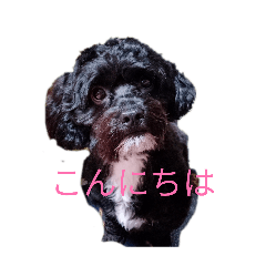 kinukinu_20260617175342