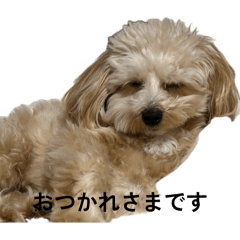 fffffff_20260617180023