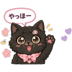 cat bencasey