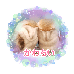 SHITAFUSA_20260617180147