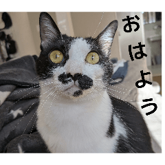 tuki_20260617175147