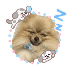 wako_20260617180502