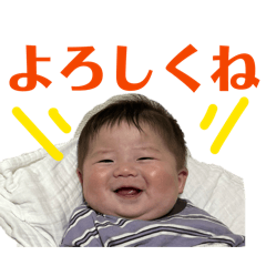 Maru_20260617180848
