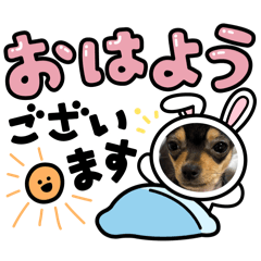 NOE_20260617181324