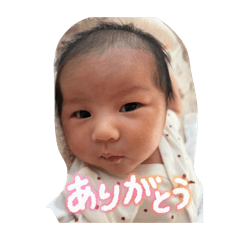 sui_20260617182324
