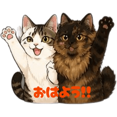TIGER JOE_20260617182755