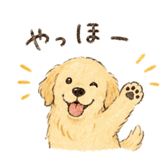mai_20260617183547
