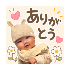 tokko_20260617183742