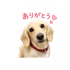 Omamori_20260617184614