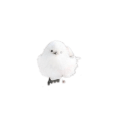 pikumin_20260617184324