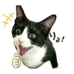 nana_nyan1