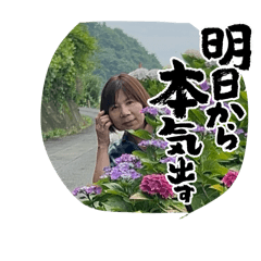 cinnamon_20260617184956