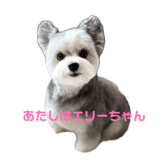 John_20260617190320