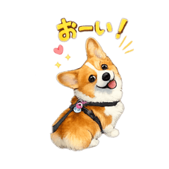 riiiieee_20260617184602