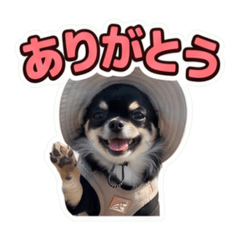 you_20260617190748