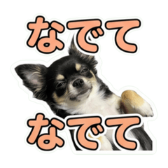 you_20260617191247