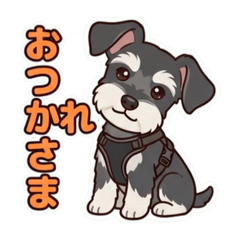 lovely JIJI0504