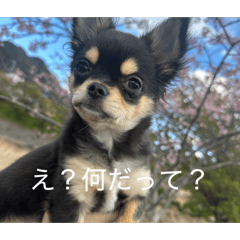 HARUKI_20260617191634