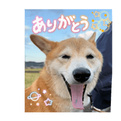 katu_20260617194650