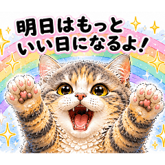moka_cat_20260617195311