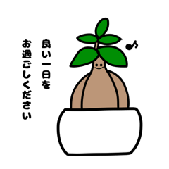 sakana_20260617200439