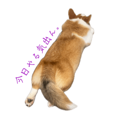 yu_20260617201701