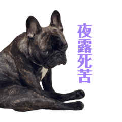 mizu_20260617201347