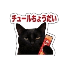 akasa_20260617202354