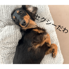 shin_20260617201450
