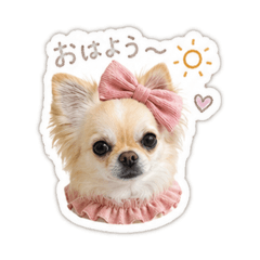mf_20260617205035