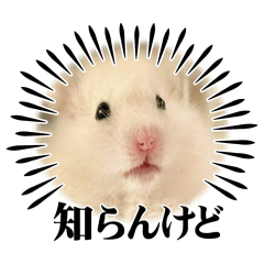 yuka_20260617205217