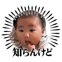 Koki_20260617205449