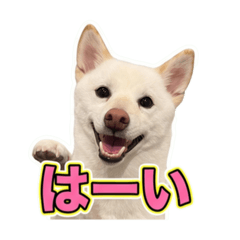 ゆきゆきゆきゆきちゃんちゃん