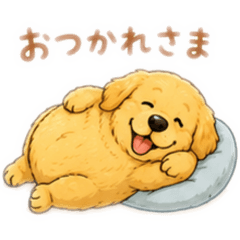 Golden Retriever stickers Sena