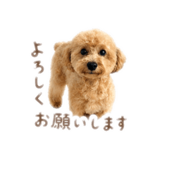 megu_20260617212737