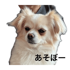 kuni-kuni_20260617212958